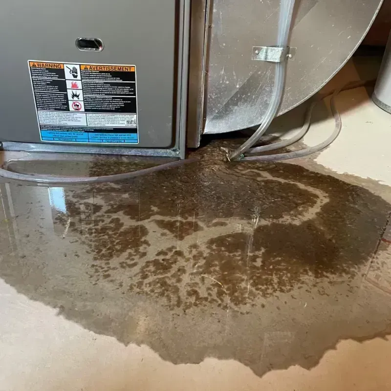 Appliance Leak Cleanup in Marble Hill, MO